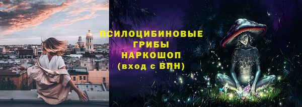 трава Богородицк